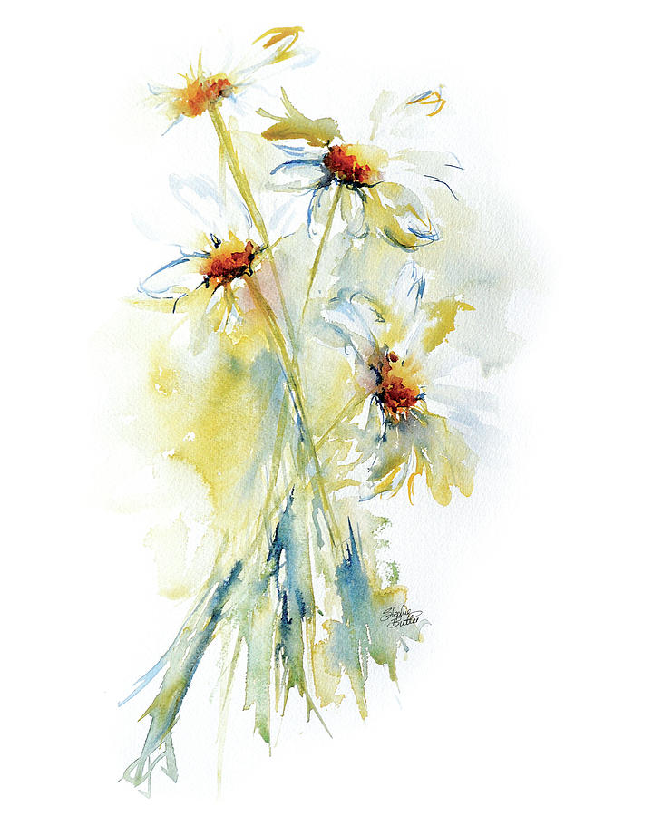 Daisy Painting - Daisy Bouquet II by Stephie Butler