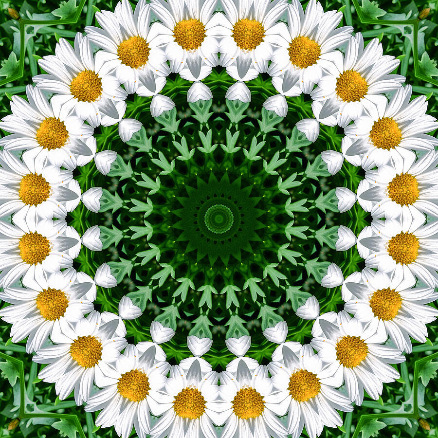 Daisy Chain Mandala Kaleidoscope Medallion Flower Mixed Media by Mercury McCutcheon