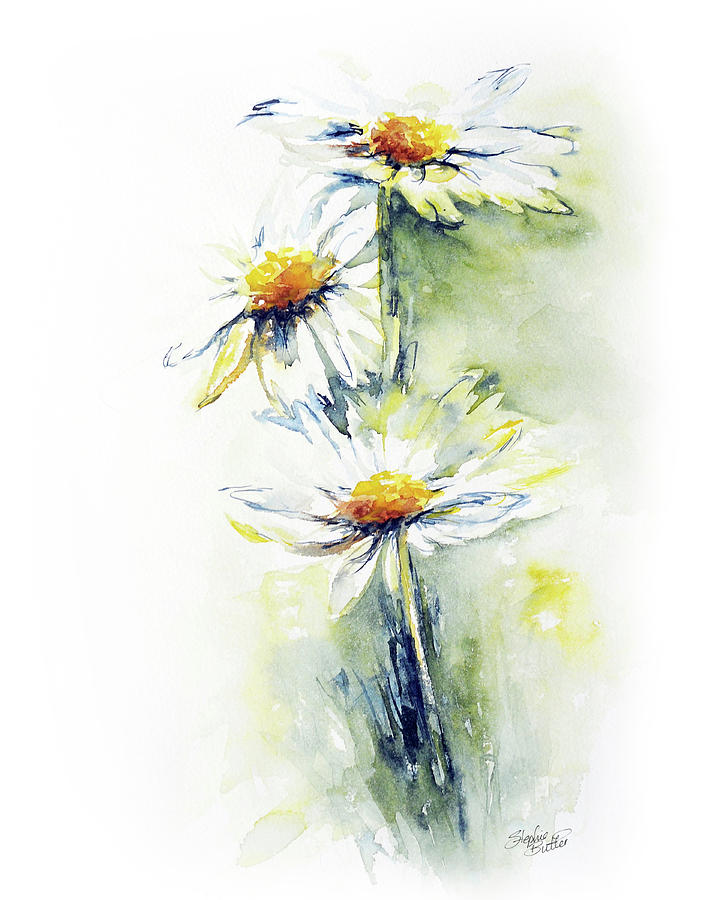 Daisy Painting - Daisy Chain by Stephie Butler