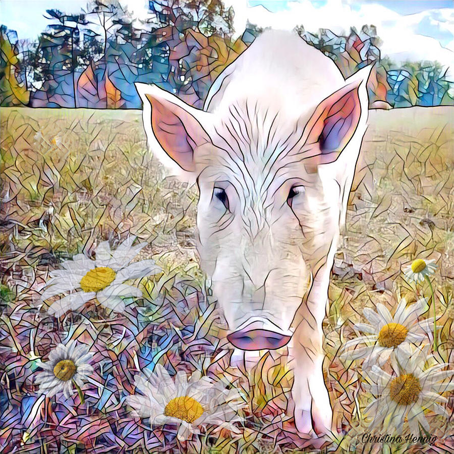 Pig Digital Art - Daisy  by Christina Hennig