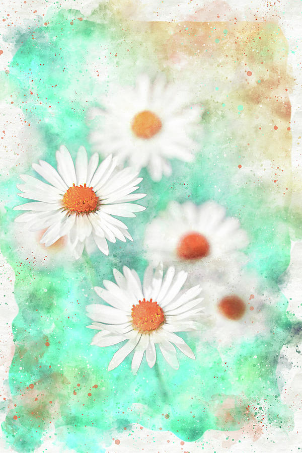 Daisy Cluster Watercolor Photograph