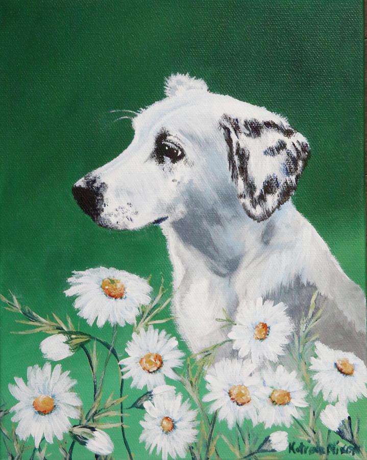 Daisy Dog Painting by Katrina Nixon