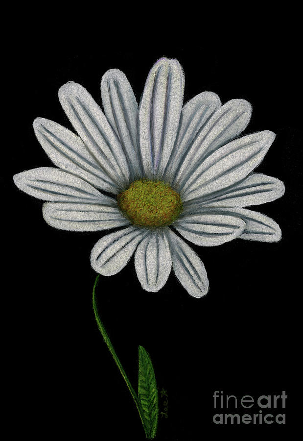 Daisy Painting by Dorothy Lee