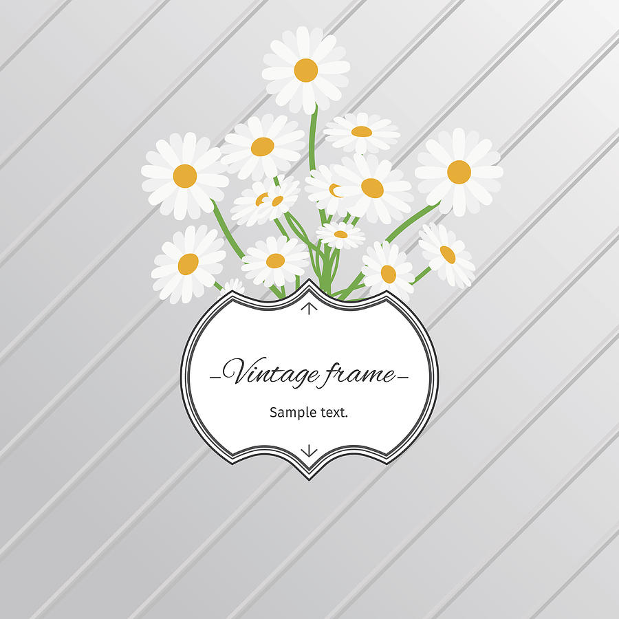Daisy flowers and vintage label card Drawing by S-s-s