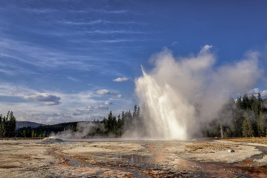 Daisy Geyser Photograph by Michael Land - Fine Art America