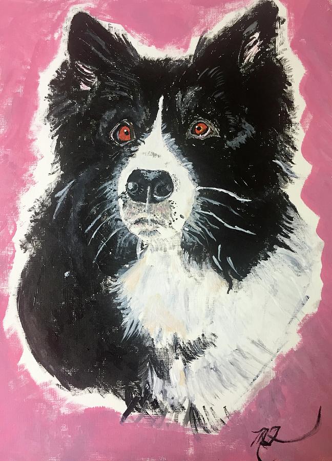 Border Collie Rescued Dog  Painting by Melody Fowler