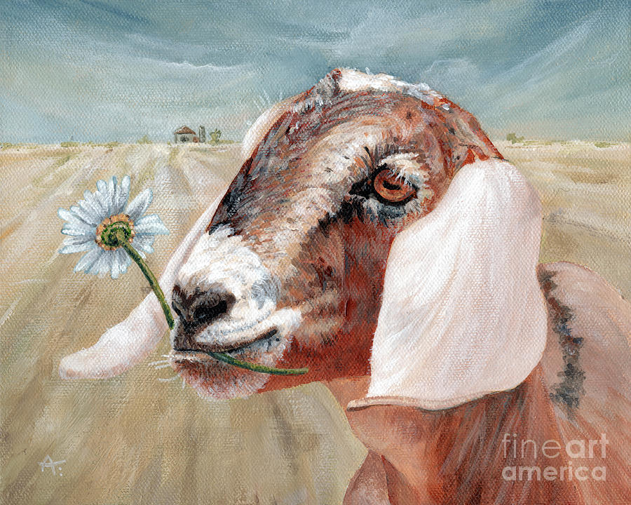 Daisy - Nubian Goat Painting by Annie Troe