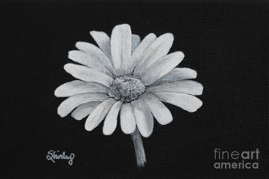 Daisy  Painting by Shirley Dutchkowski