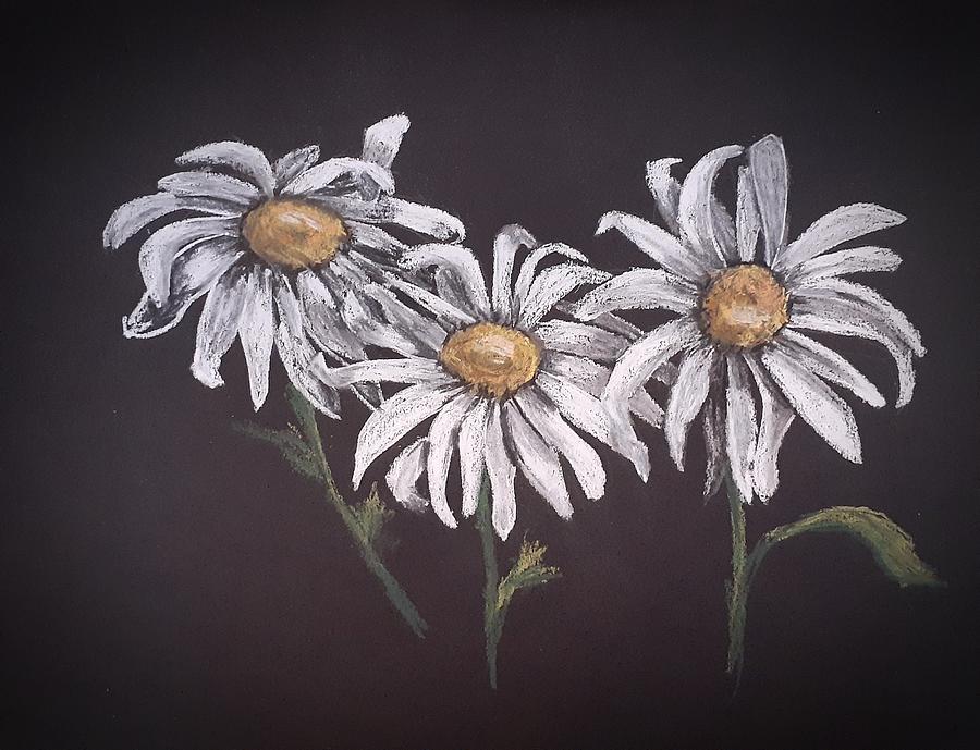 Daisy Trio Pastel by Betty-Anne McDonald