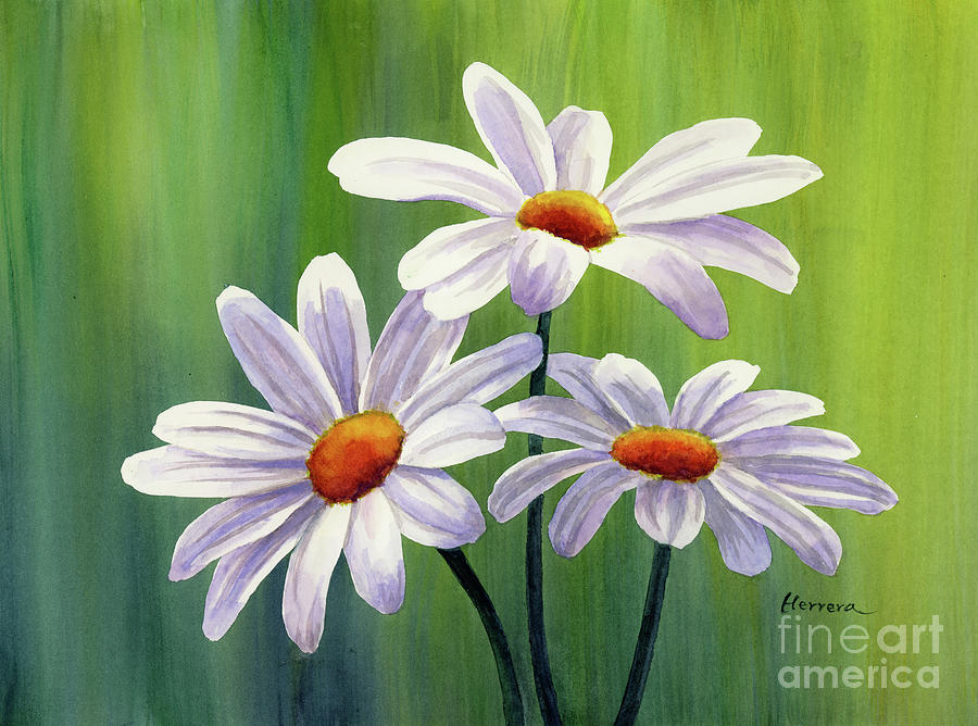 Daisy Trio Painting