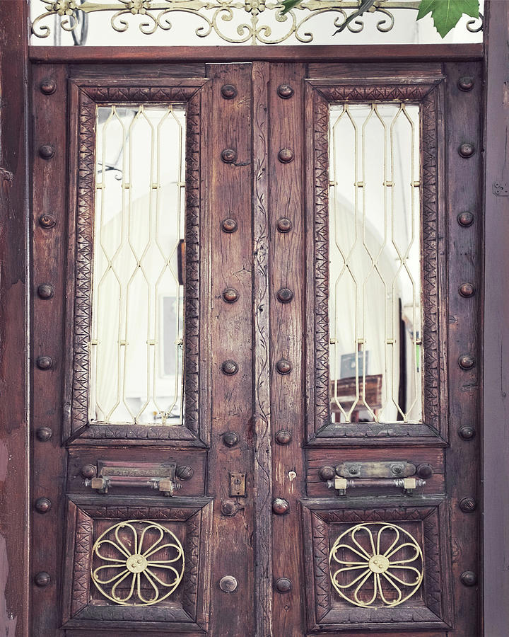 Daisy Wooden Doors Photograph by Lupen Grainne
