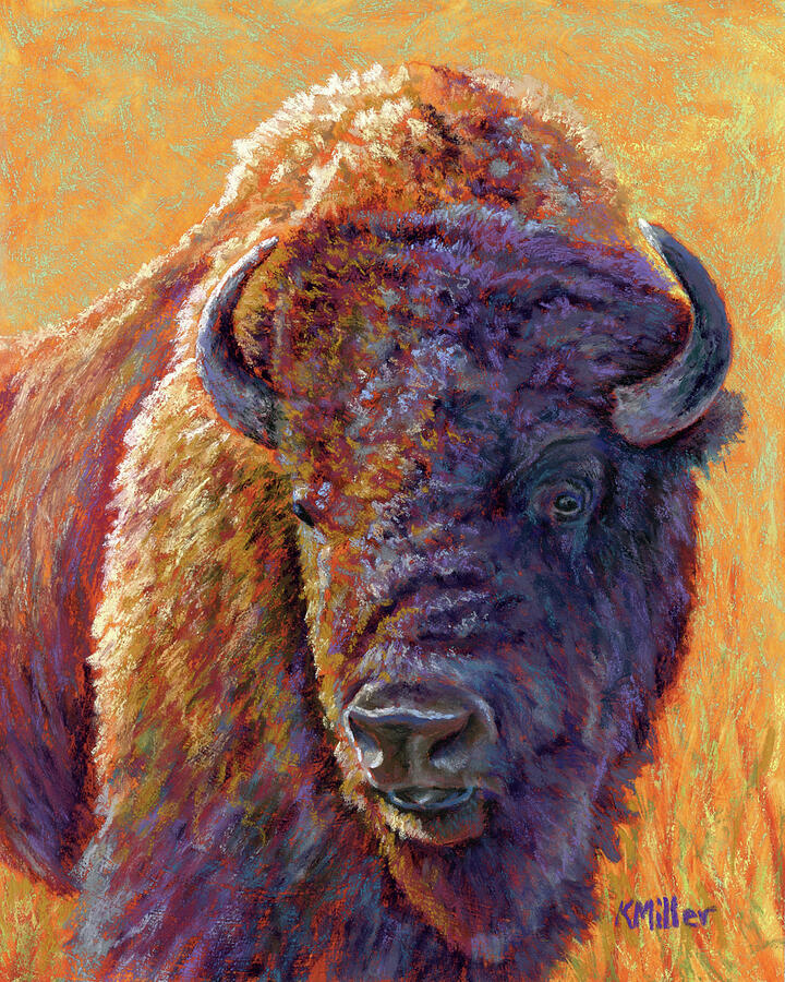 Dakota - Bison Pastel by Kathie Miller - Fine Art America