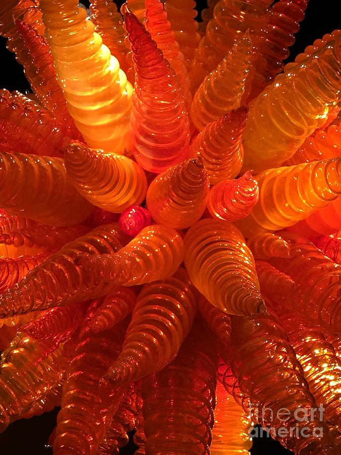 Dale Chihuly Sculpture Photograph by J Doyne Miller