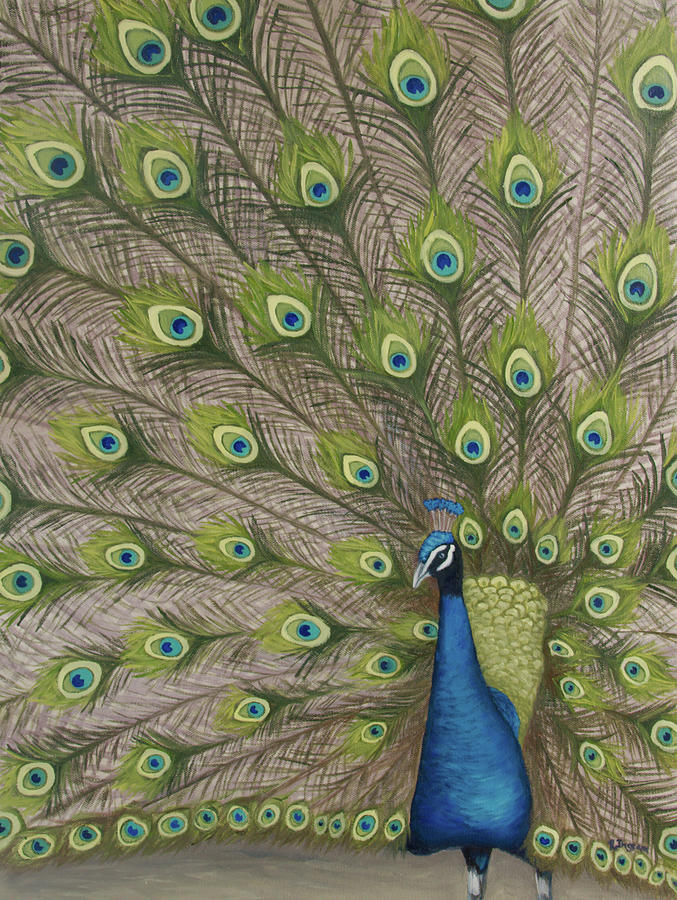 Dale the Peacock Painting by Rachel Ingram - Fine Art America