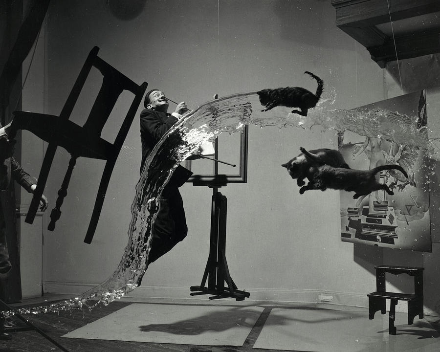 Cat Painting - Dali Atomicus, 1948 by Philippe Halsman