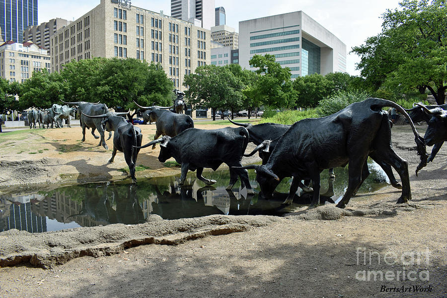 Dallas Cattle Statues Photograph by Roberta Byram
