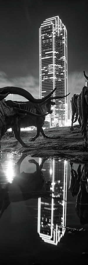 Dallas Monochrome And Texas Longhorn Cattle Drive Panorama Photograph