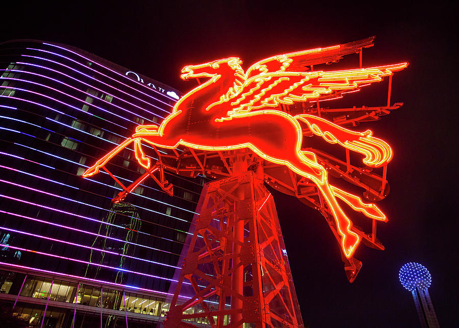 Dallas Pegasus at Night Photograph by Stephen Stookey