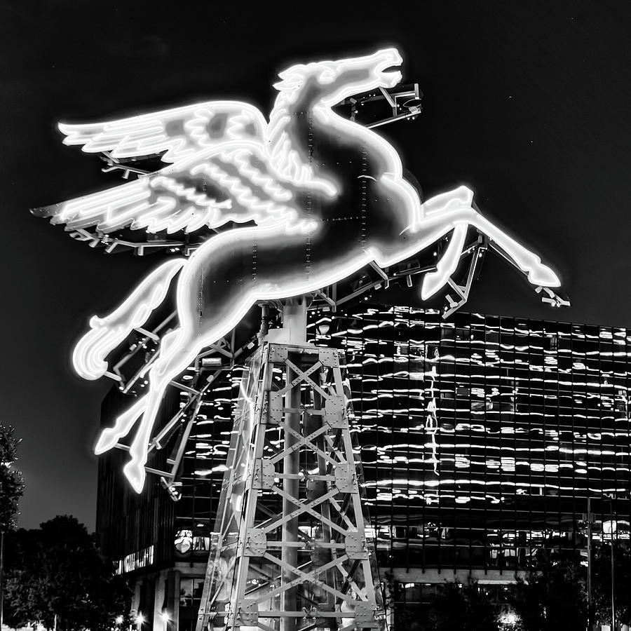 Dallas Pegasus Neon 1x1 Black and White Photograph by Gregory Ballos