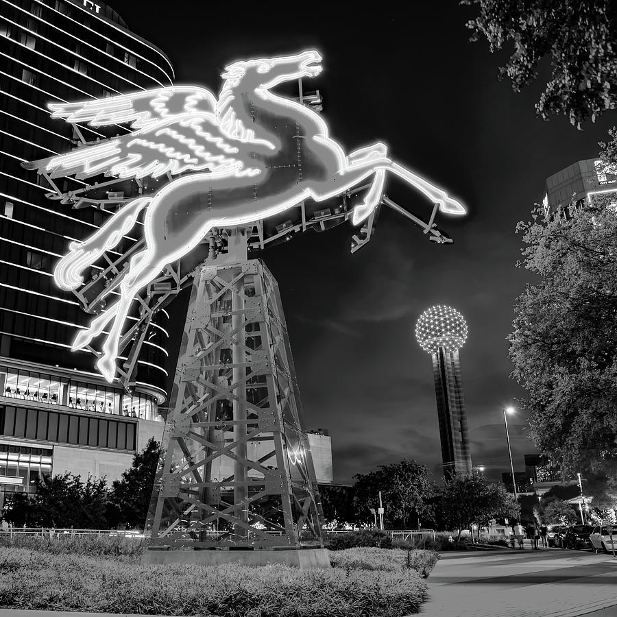 Dallas Pegasus With The Reunion Tower 1x1 Monochrome Photograph by Gregory Ballos