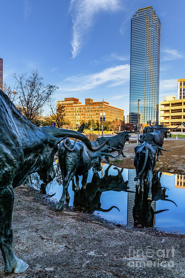 Dallas Pioneer Park Longhorns Sculptures Vertical Photograph by Bee ...