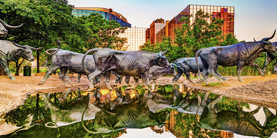 Dallas Skyline Photograph - Dallas Pioneer Plaza Texas Longhorns and Cattle Drive Sculptures Panorama by Gregory Ballos