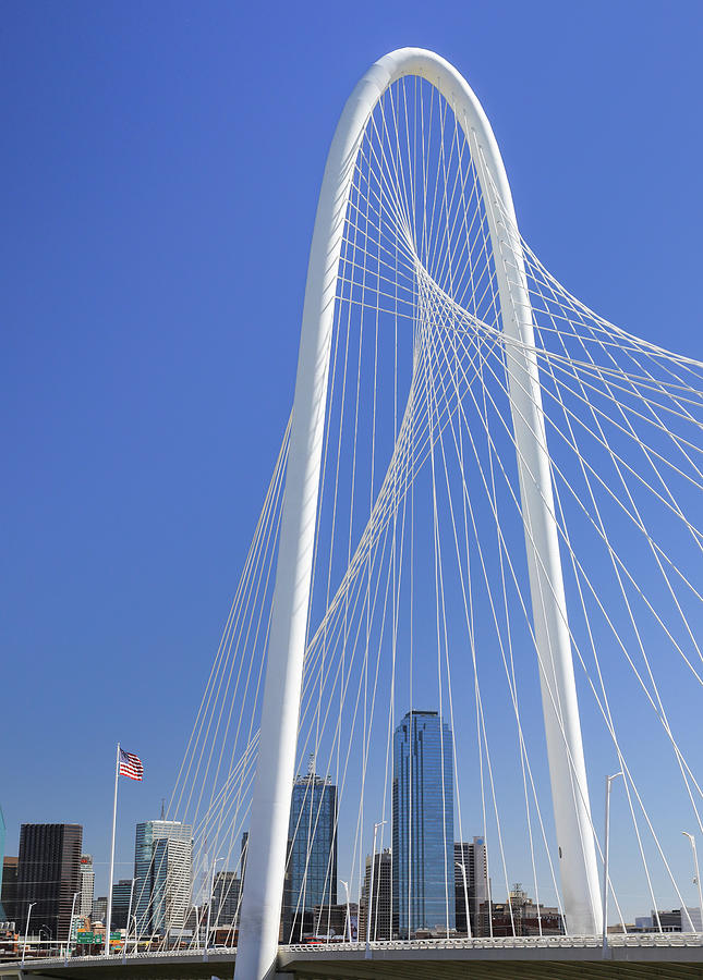 Dallas Skyline And Bridge Photograph by Dan Sproul