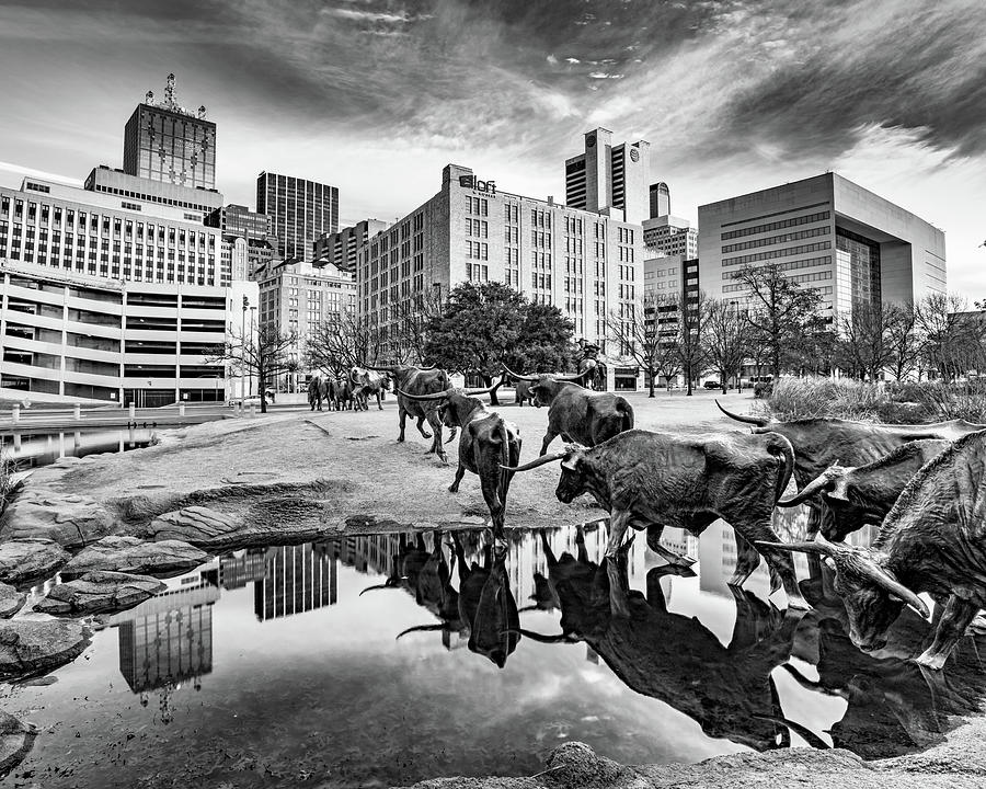 Dallas Skyline From The Texas Longhorn Cattle Drive Sculptures - Black and White Photograph by Gregory Ballos