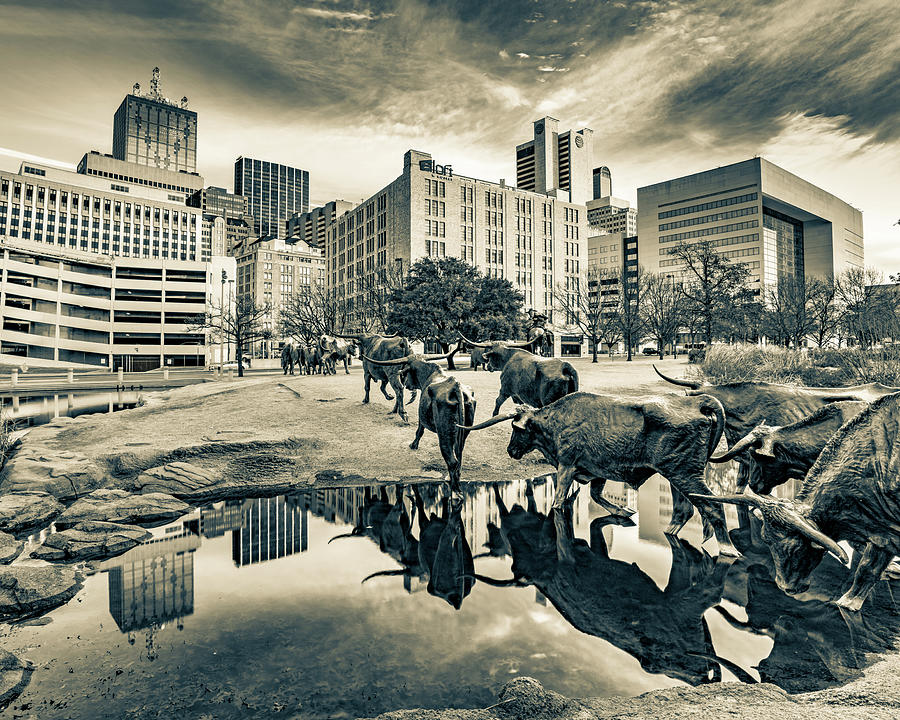 Dallas Skyline From The Texas Longhorn Cattle Drive Sculptures - Sepia Edition Photograph by Gregory Ballos