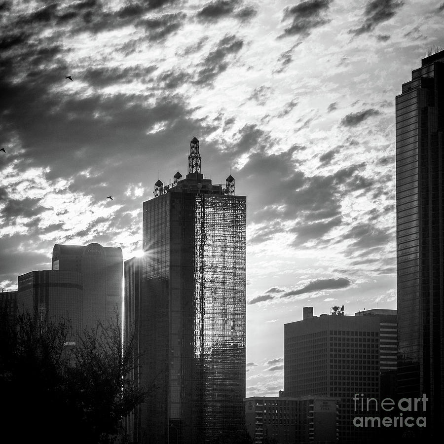Dallas Sunrise in Black and White  Photograph by Imagery by Charly