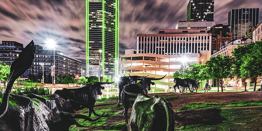 Dallas Texas Longhorn Cattle Drive Journey - A Panoramic View ...