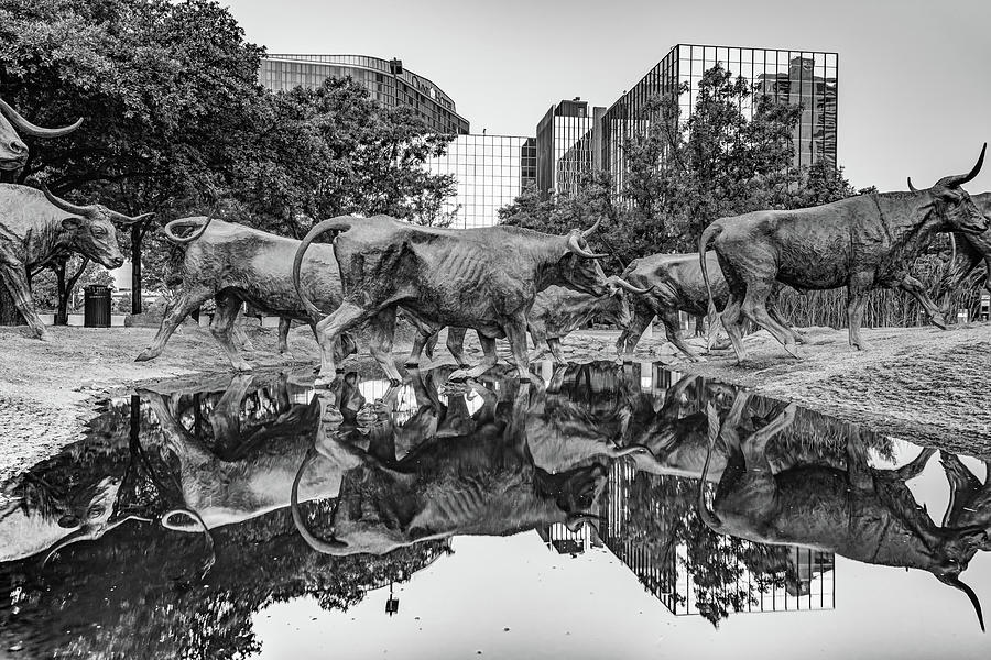 Dallas Skyline Photograph - Dallas Texas Longhorn Cattle Drive Reflections - Pioneer Plaza Monochrome by Gregory Ballos