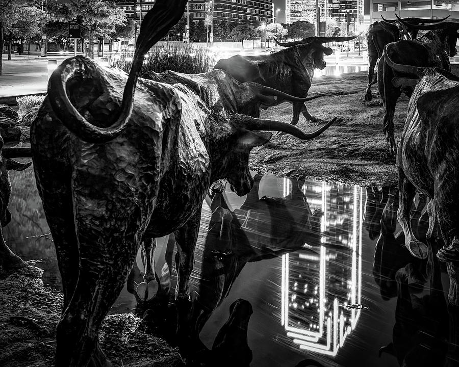 Dallas Texas Longhorn Water Crossing In Pioneer Plaza - Black and White Photograph by Gregory Ballos