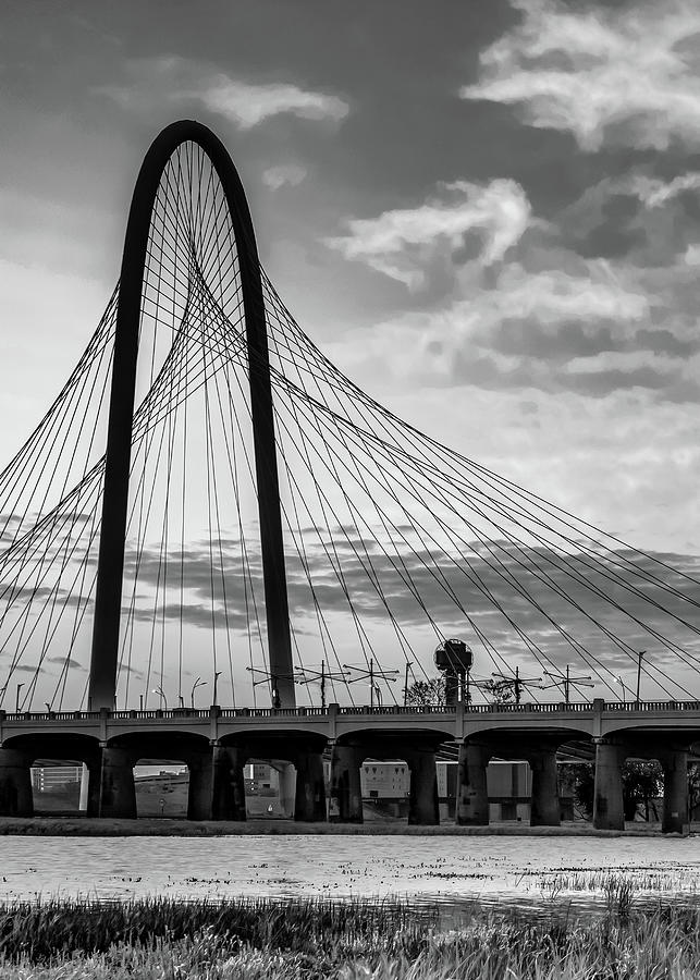 Dallas Skyline Photograph - Dallas Texas Margaret Hunt Hill Bridge and Reunion Tower From Trinity River Trail - Monochrome by Gregory Ballos