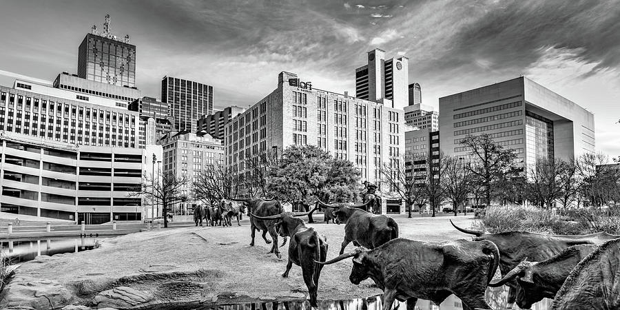 Dallas Texas Skyline And Longhorn Cattle Drive Crossing Panorama - Black and White Edition Photograph by Gregory Ballos