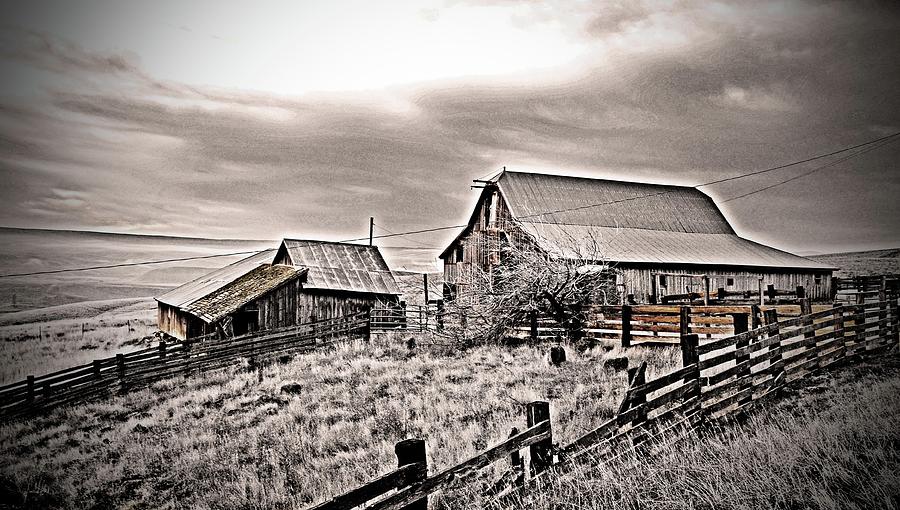 Dalles, MT Barn, And Outbuilding Digital Art by Fred Loring