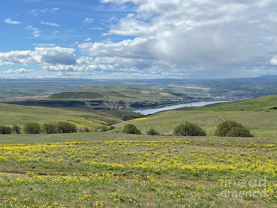 Dalles Ranch Vista with Columbia River Photograph by Carol Groenen