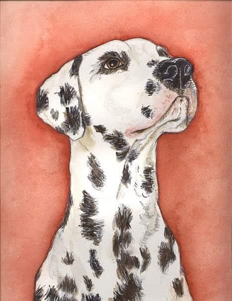 Dalmatian 1 Painting by Alison Steiner
