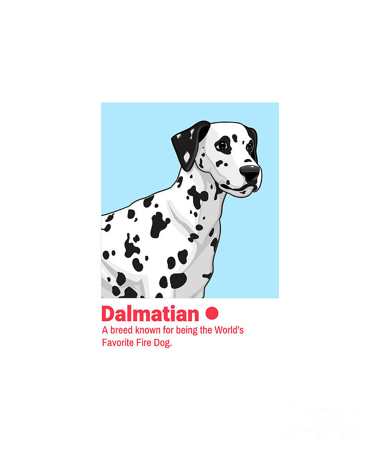 Dalmatian Definition Gift For Dog Mom Dad Dog Lover Digital Art by Funny  Gift Ideas - Pixels