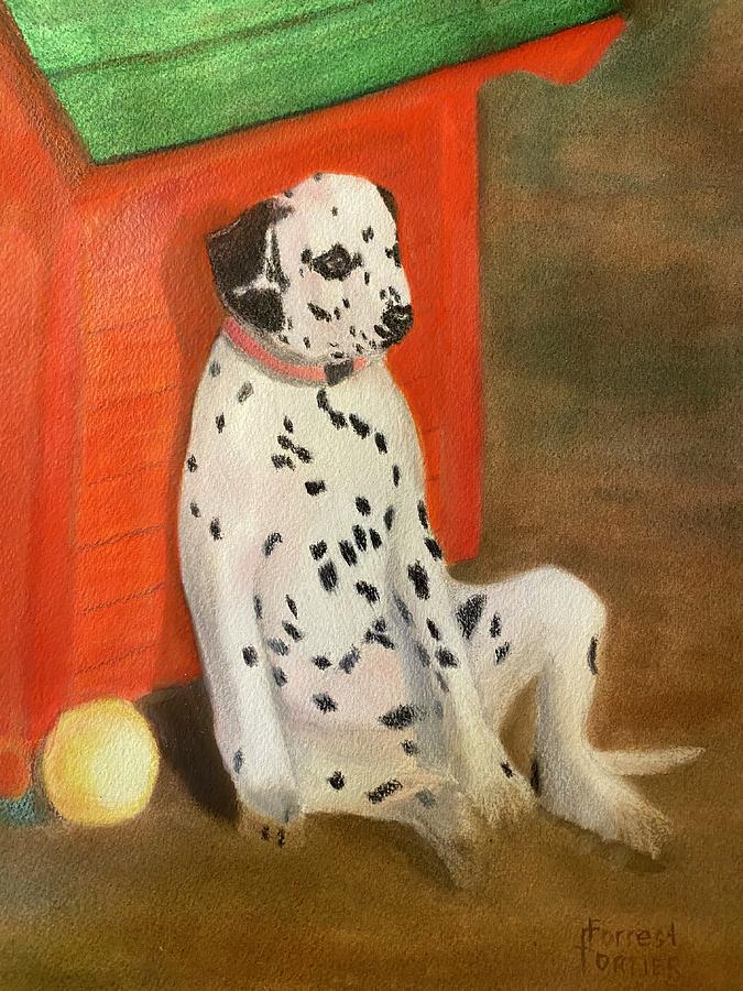 Dalmatian Resting Painting by Forrest Fortier