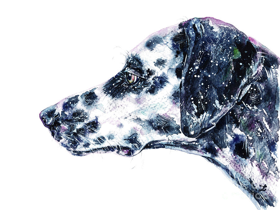 Dog Painting - Dalmatian by Zaira Dzhaubaeva