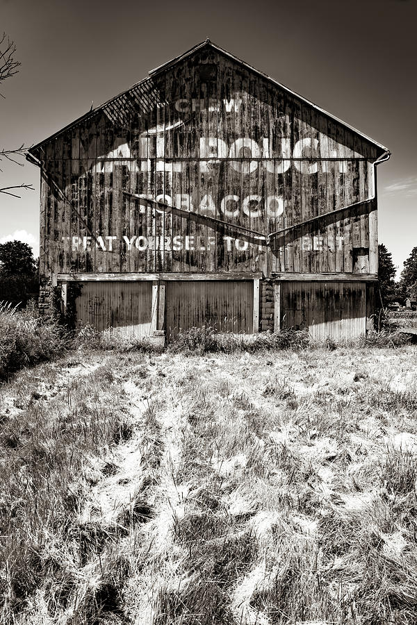 Black And White Photograph - Dalton Ohio Vintage Mail Pouch Tobacco Barn - Sepia by Gregory Ballos