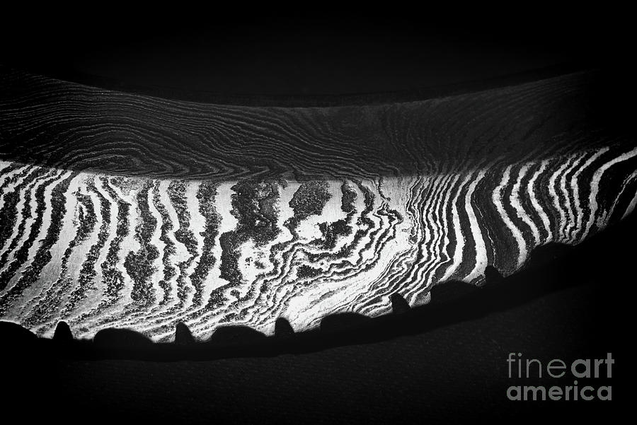 Abstract Photograph - Damascus Pattern on a Karambit Knife in black and white by Paul Ward