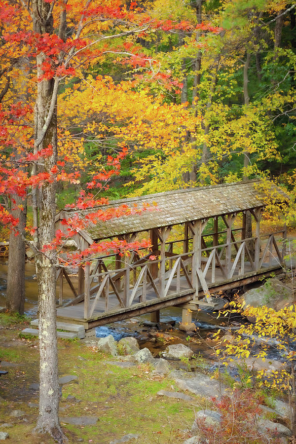 Damon Walking Bridge over Willard Brook Photograph by Jeff Folger