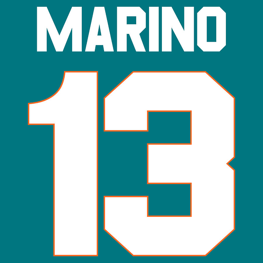 dolphins jersey marino