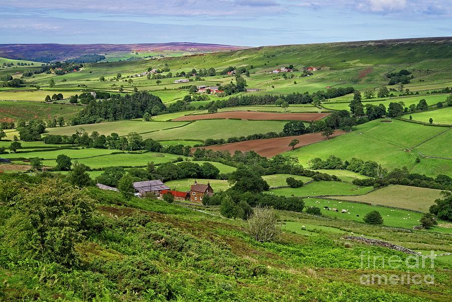 Danby Dale North York Moors Photograph by Martyn Arnold
