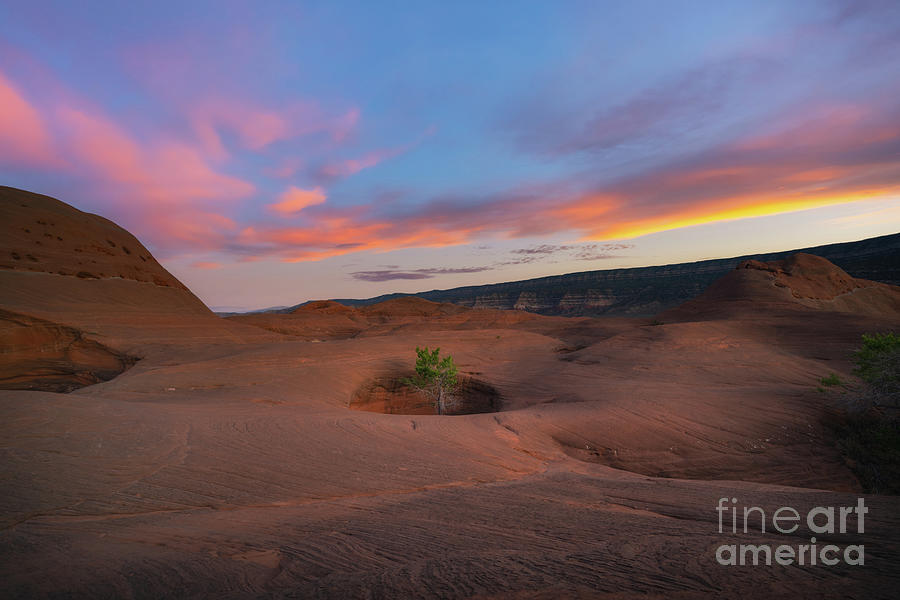 Dance Hall Rock Sunset Photograph by Michael Ver Sprill - Pixels