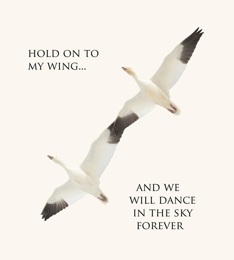 Dance in the Sky Photograph by Whispering Peaks Photography Fine Art