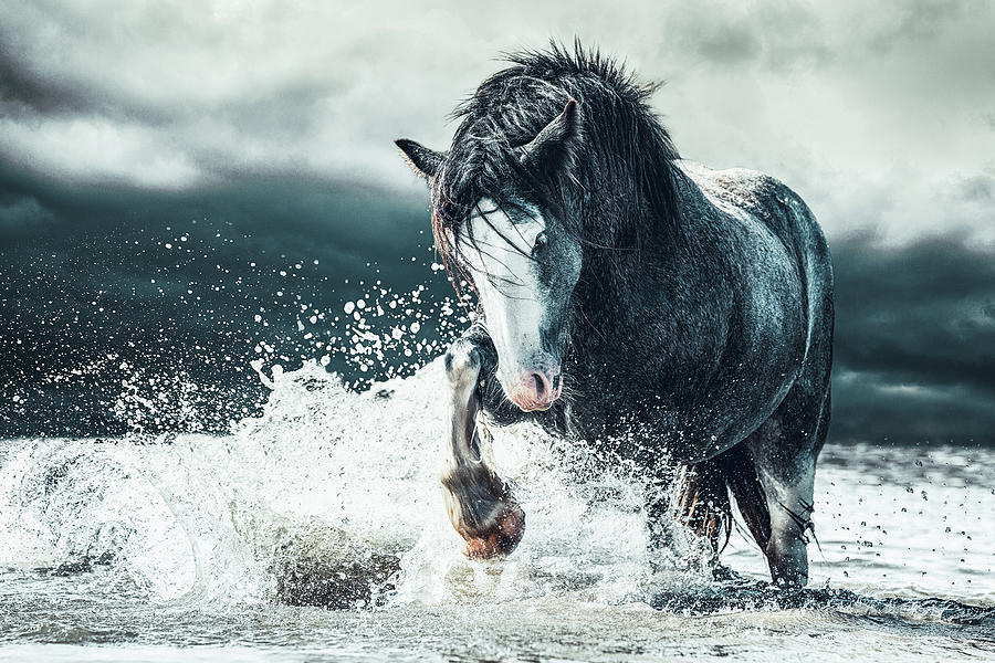 Dance in the storm - Horse Art Photograph by Lisa Saint
