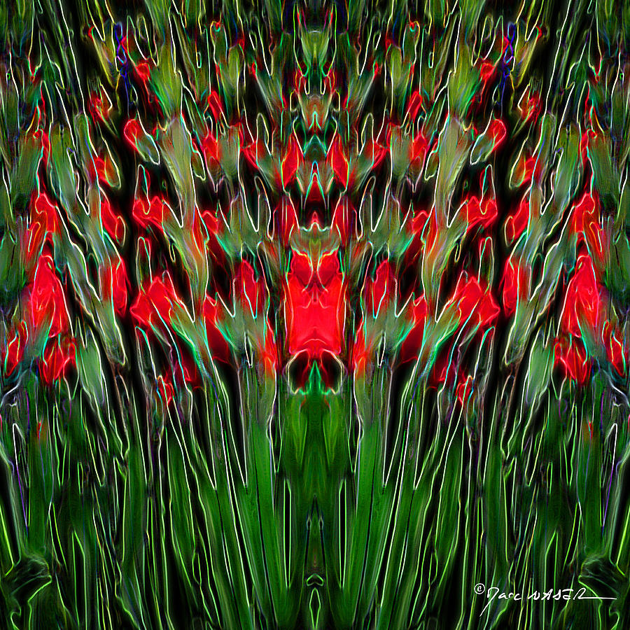 Dance Of The Budding Irises Photograph by Marc Nader